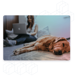 standard-ach_pet-insurance_2024@2x-1